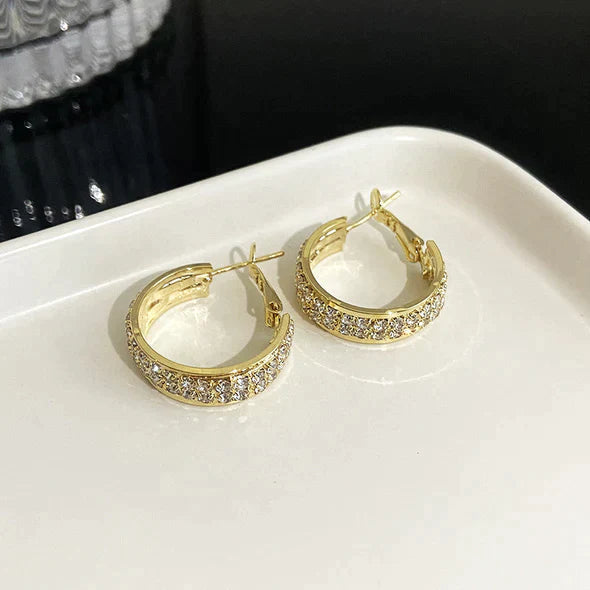 Lymphatic activity hoop earrings(Limited Time Discount 🔥 Last Day)