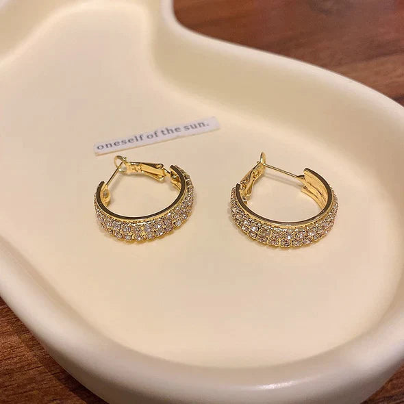 Lymphatic activity hoop earrings(Limited Time Discount 🔥 Last Day)