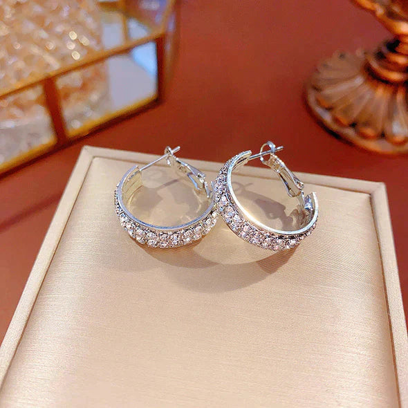 Lymphatic activity hoop earrings(Limited Time Discount 🔥 Last Day)